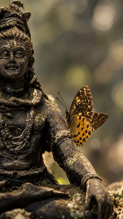 A statue and a butterfly